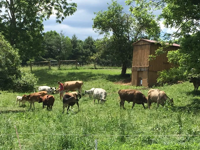 Hoof Hearted Farm LLC