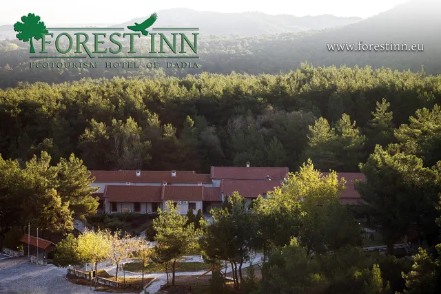 Forest I n Ecotourism Hotel