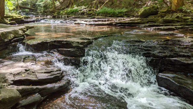 Grundy Forest State Natural Area at South Cumberland State Park