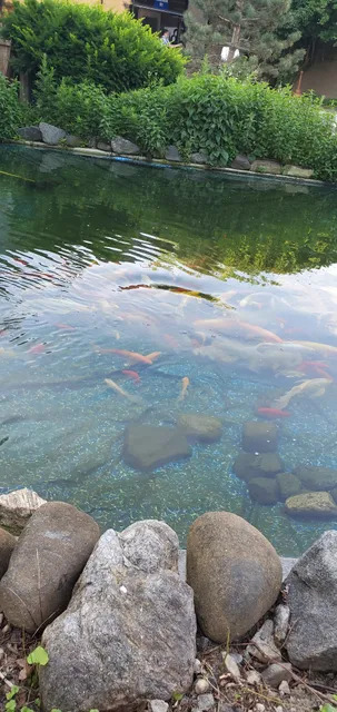 Tallman Island Wastewater Treatment Plant