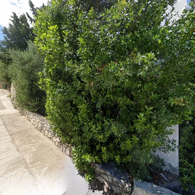 LaGioia Ravni Ferienhaeuser mit pool