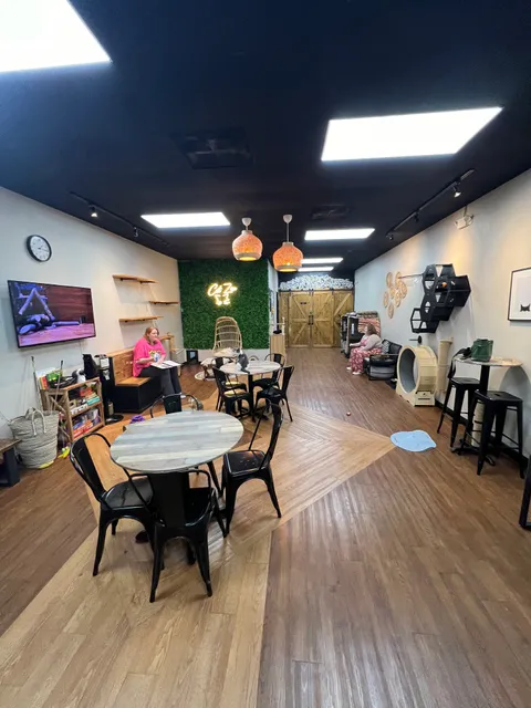 Cat Zen Cafe and Lounge