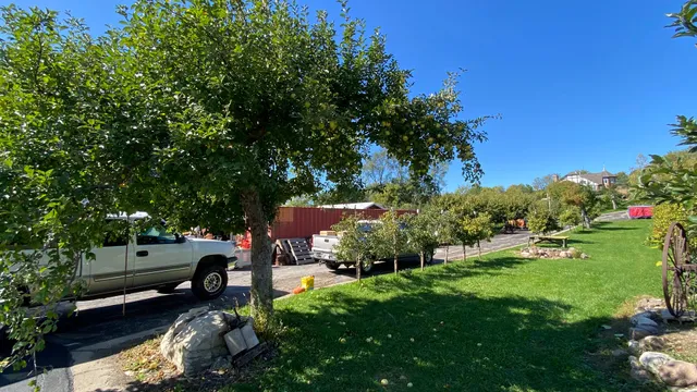 Auntie Evie’s Apple Orchard