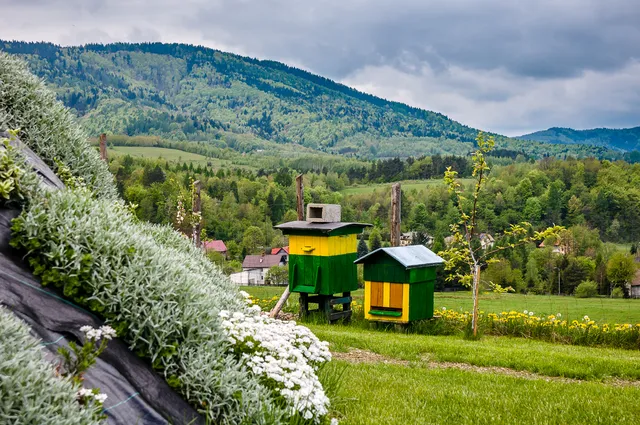 Agroturyska Noclegi Pokoje, Rzyki Ranczo pod Klimoską