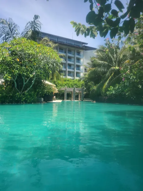 Rimba Three Monkeys Pool