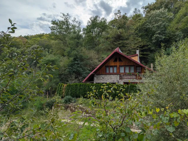 Casa din Padure