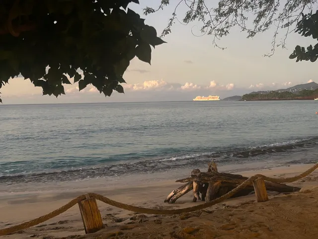 The Monkey Bar Grenada