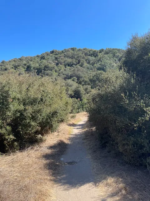 Camino Ruiz Top Trailhead