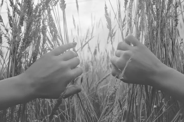 Sonia Ruano - Centro de Masajes y Estética