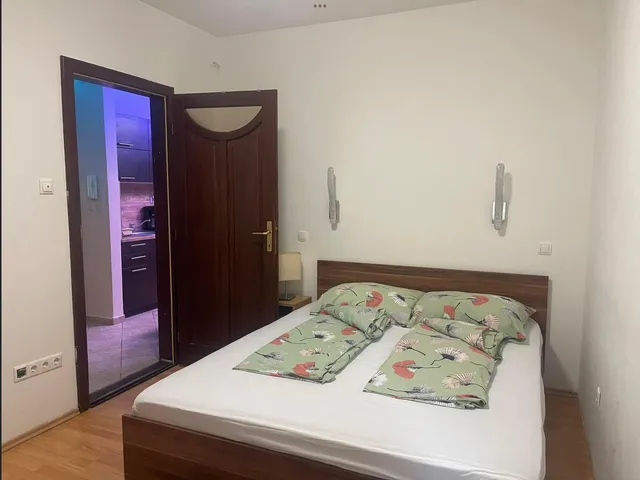 Timi Wellness Apartman