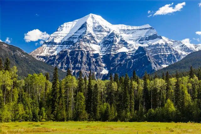 Mt Robson