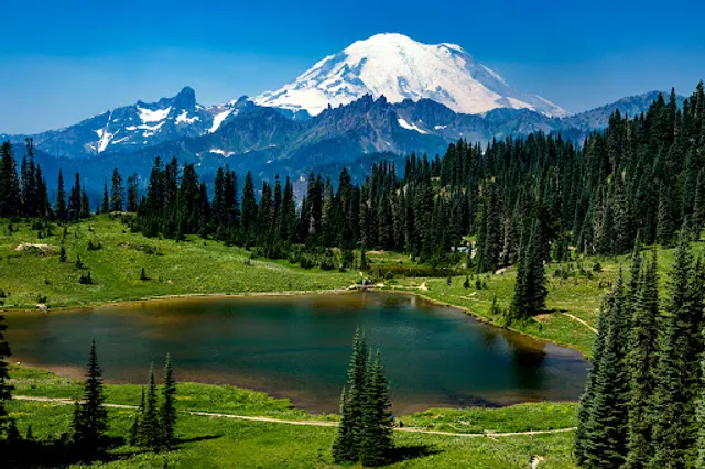 Mount Rainier