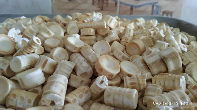 Pescados y Mariscos Amador