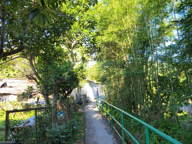 Wah King Garden Centre