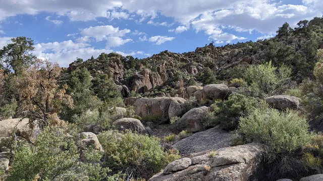 Shooting Gallery Unit, Basin and Range National Monument