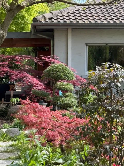 The Garden of Tuileries