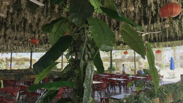 Seagull Beach Restaurant