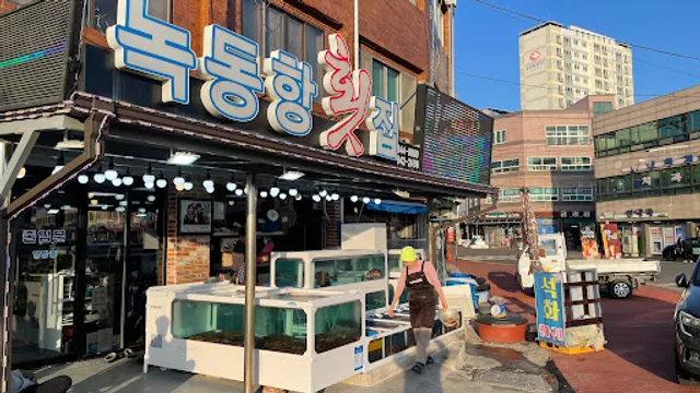 녹동항회집