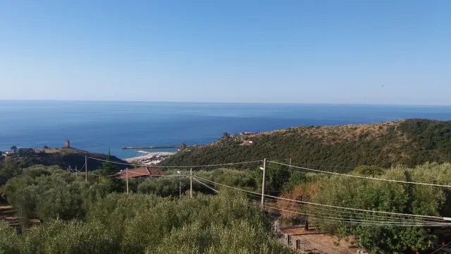 residence san antonio