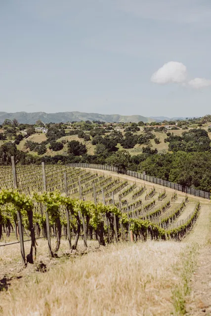 Buttonwood Farm & Vineyard