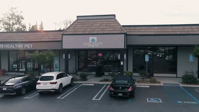 Blue Agave Tacos and Beer