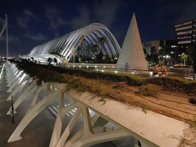 Valencia Acoge - Valencia Acull