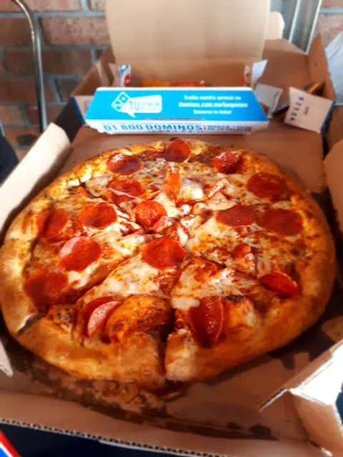 Domino's Mty Economax