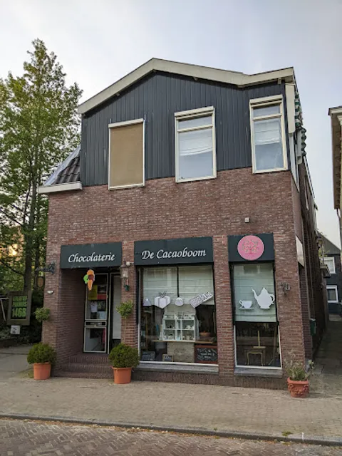 Chocolaterie De Cacaoboom