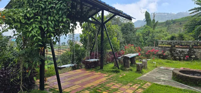 Leaf colour homestays