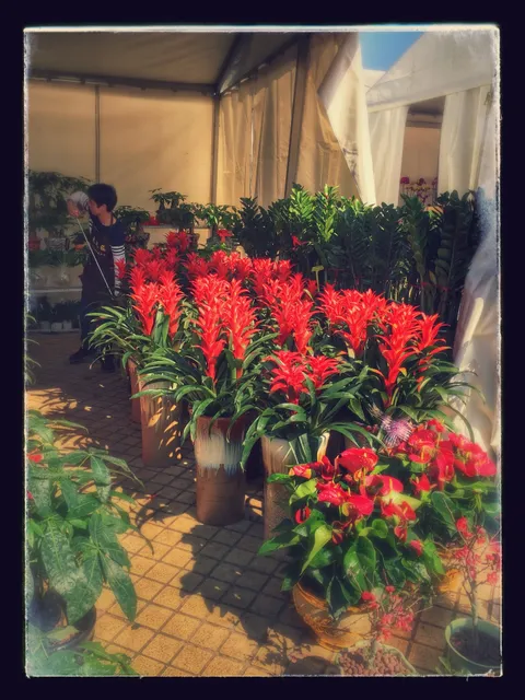 Fisherman Pier Xinxiangzhou Branch