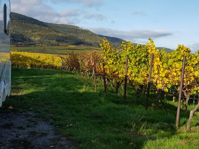 Weingut - Gästehaus Hermann Eberle