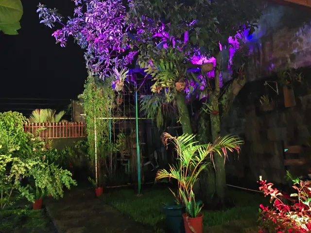 Rest. Tierra Fértil Street Food