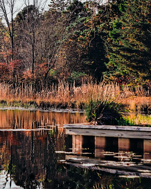 Lady’s Lake Campgroud