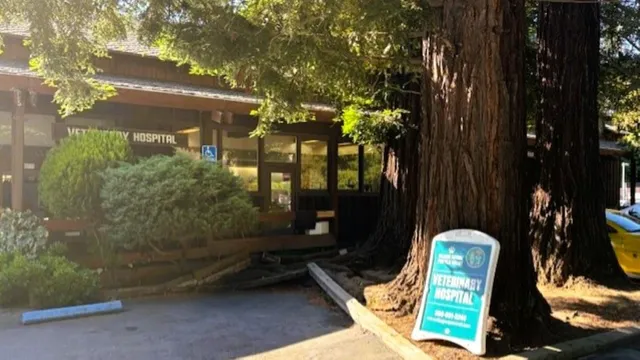 Village Square Portola Valley Veterinary Hospital