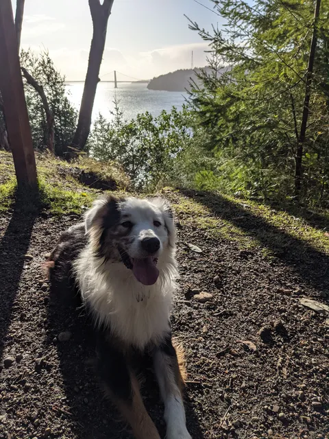 Point Defiance Dog Park