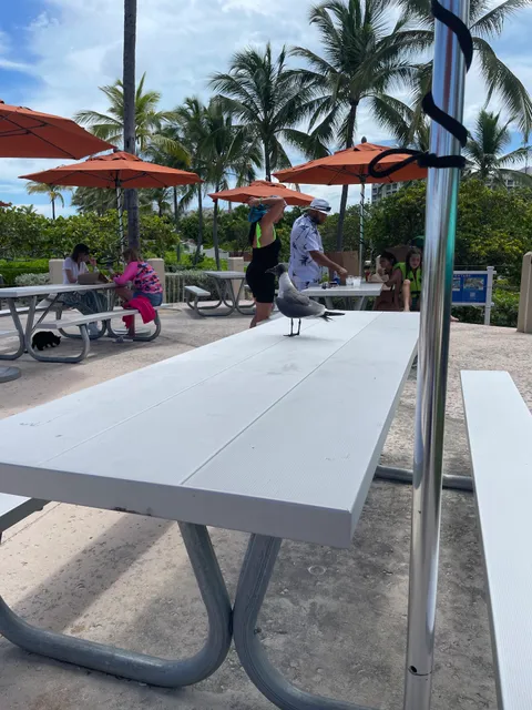 Pisces Fish and Chips