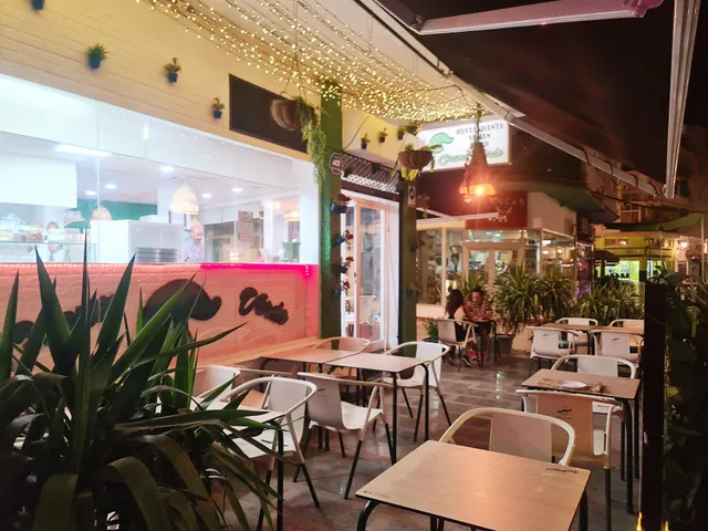 El Enano Verde vegan food