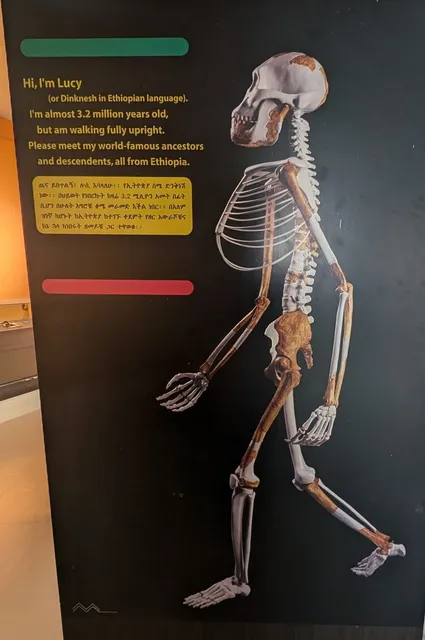 Hi Ethiopia Addis Ababa City Tours:Explore with Young Isaac, Your Expert Tour Guide