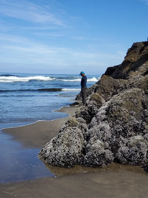 Neskowin Beach
