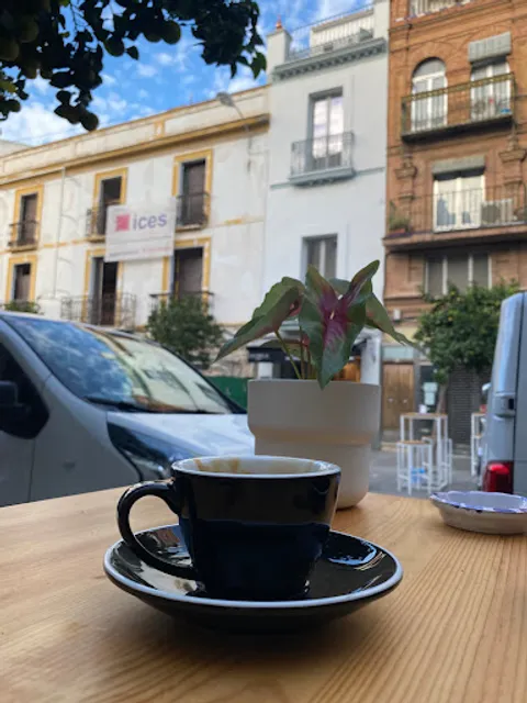 COFFEE UP TRIANA - Specialty Coffee Shop / EL CAFÉ DE ESPECIALIDAD