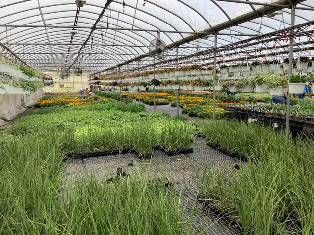 Godlewsky Farms & Greenhouses