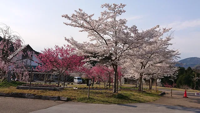 Tanbanamikimichichuo Koen Dai 1 Parking Lot