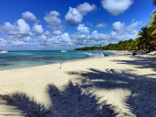 Isla Saona