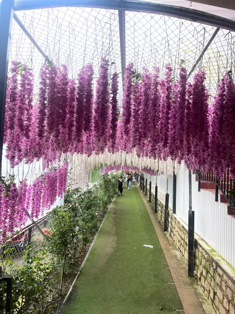 Thiên Vương House Đà Lạt