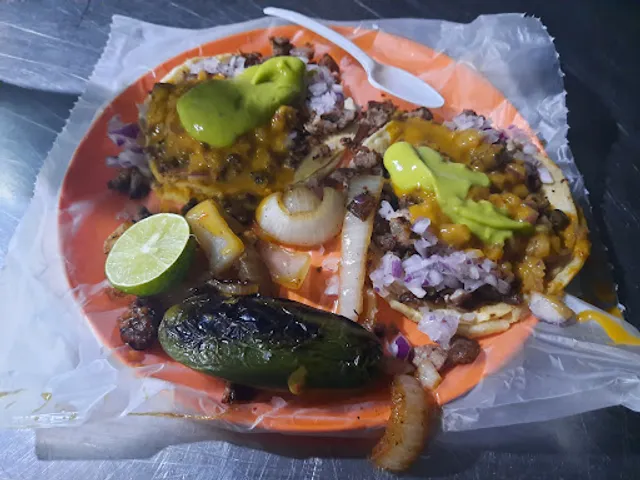 Tacos El Lobo