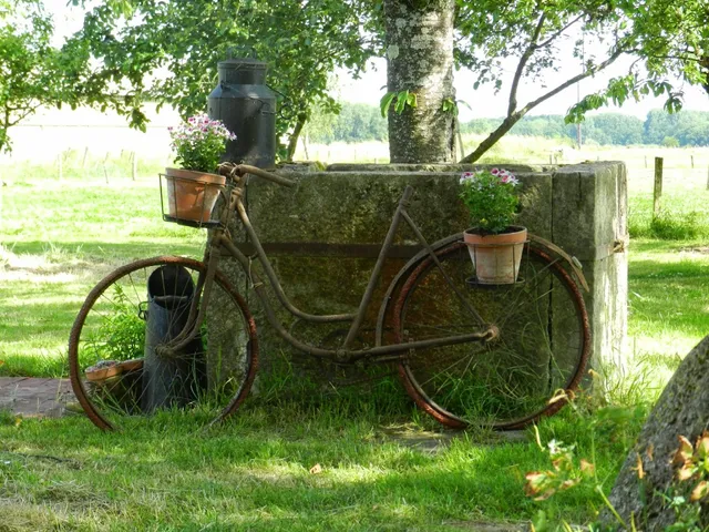 Gîte becassine et ficelle
