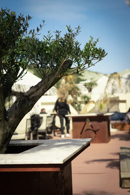 Aqua Lounge Bar & Restaurant