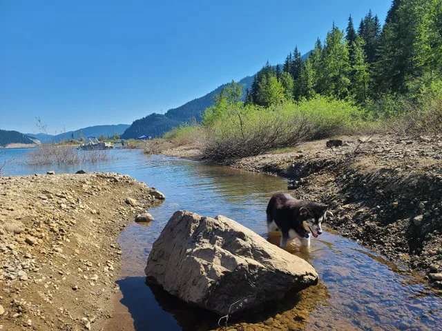 Lake Keechelus Picnic Area
