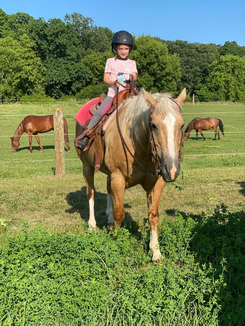 Palomino Pines Guest Ranch