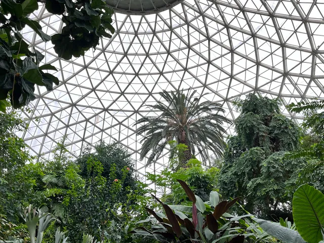 Tropical Dome